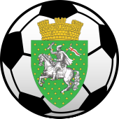 ASOCIAŢIA RAIONALĂ DE FOTBAL CĂLĂRAŞI